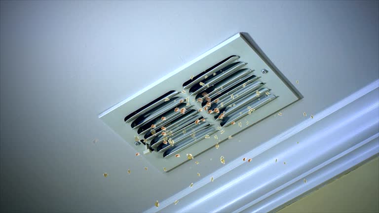 Best Dryer Vent Cleaning Services  in Kekoskee, WI
