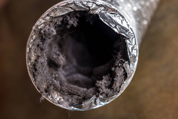 Best Home Air Vent Cleaning  in Kekoskee, WI